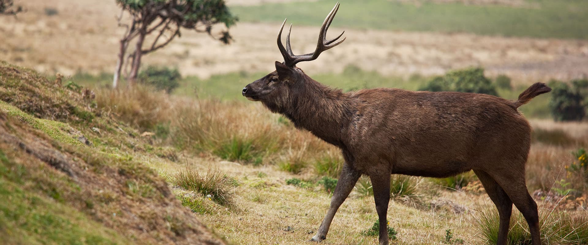 Explore Horton Plains National Park